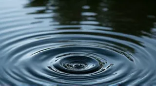 The River's Murmur: How Waterways Shape Linguistic Convergence and Divergence